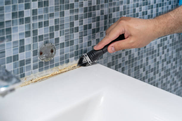 Best Residential Mold Removal  in White Island Shores, MA
